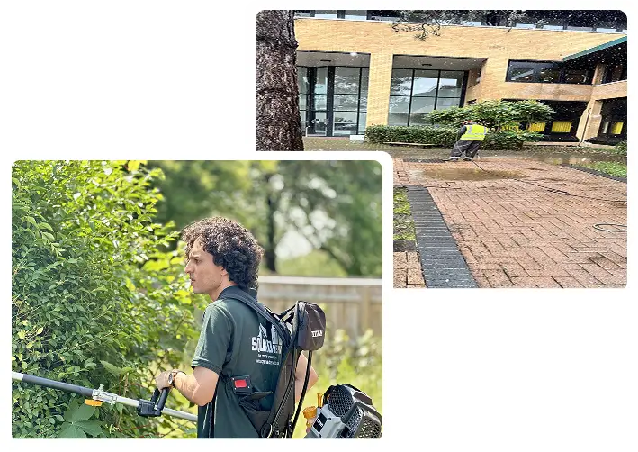 landscaping-6
